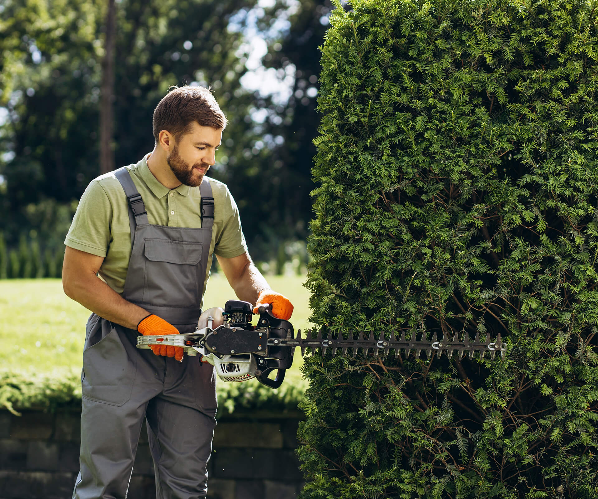 Hedge Trimming