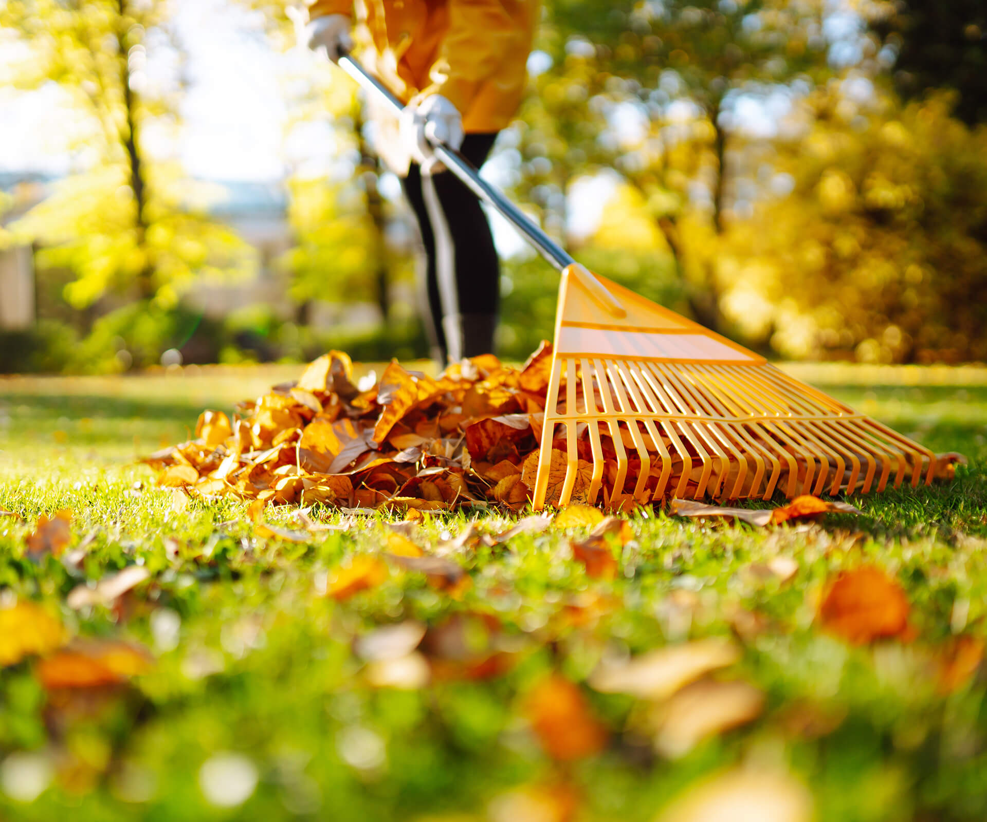 Seasonal Cleanups