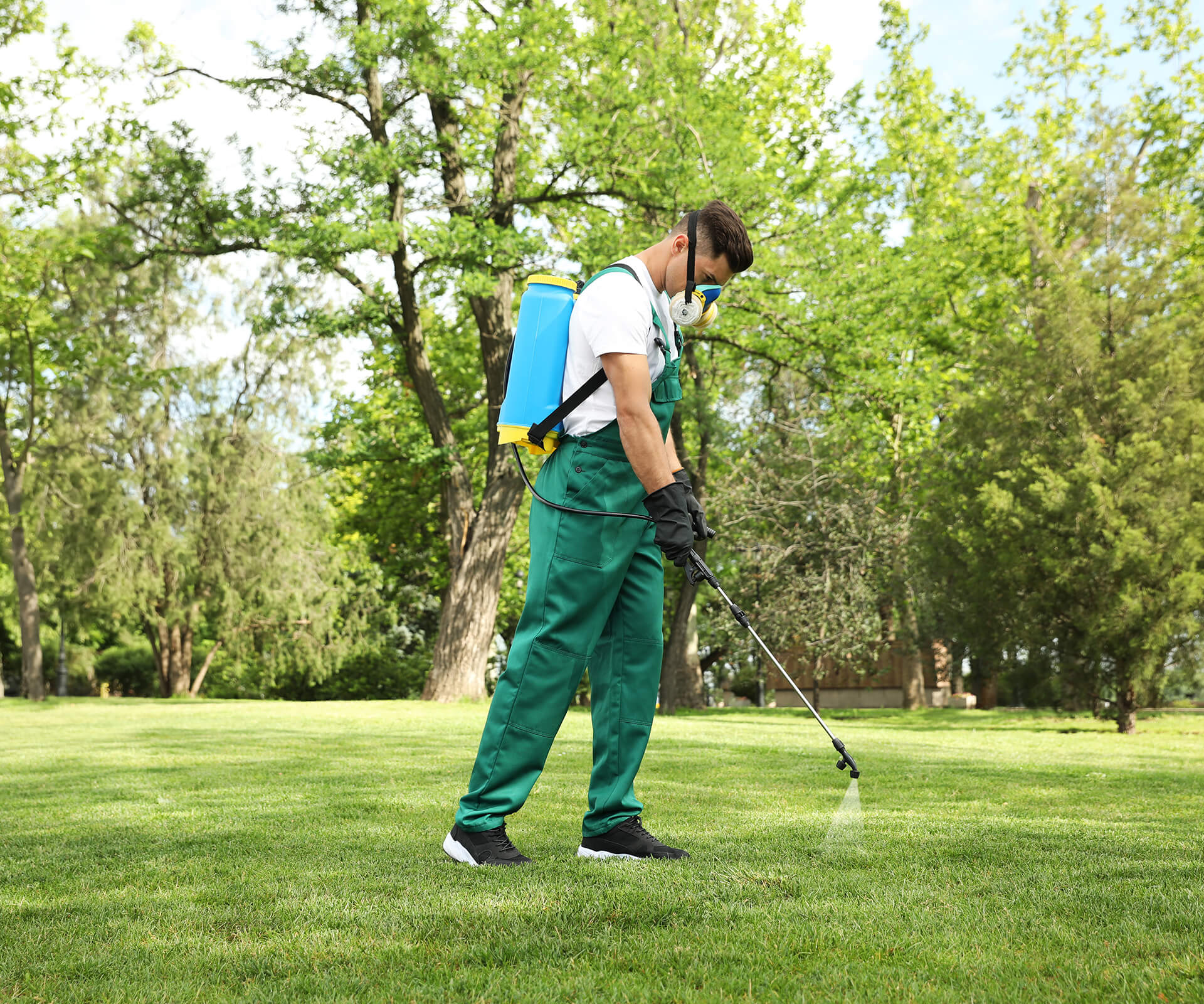 Lawn Care