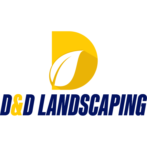 D&D Landscape